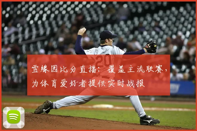 雪缘园比分直播：覆盖主流联赛，为体育爱好者提供实时战报