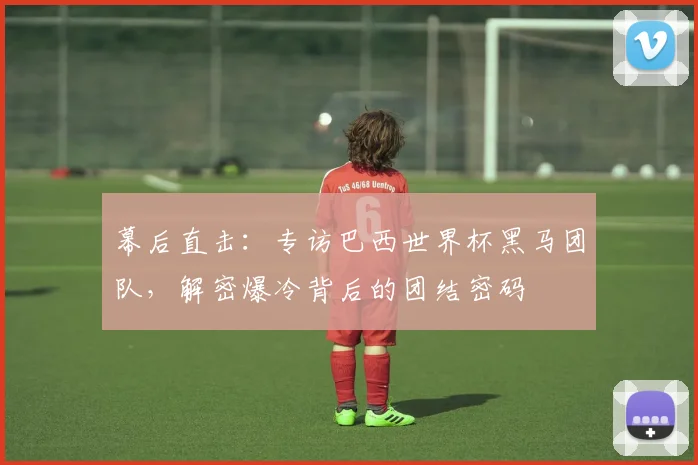 幕后直击：专访巴西世界杯黑马团队，解密爆冷背后的团结密码