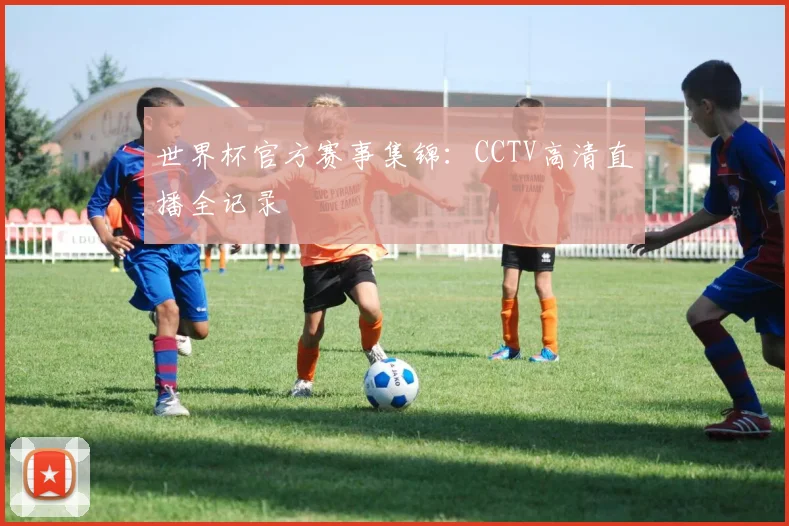 世界杯官方赛事集锦：CCTV高清直播全记录