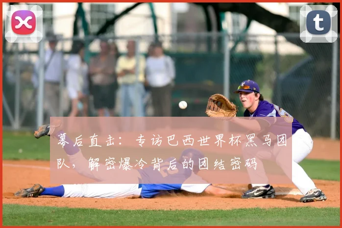 幕后直击：专访巴西世界杯黑马团队，解密爆冷背后的团结密码