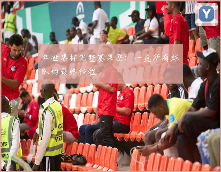 年世界杯完整赛果图：一览所有球队的最终征程