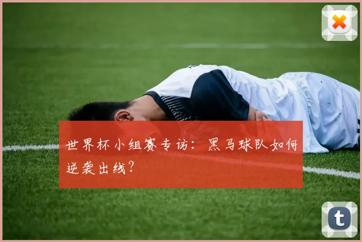 世界杯小组赛专访：黑马球队如何逆袭出线？